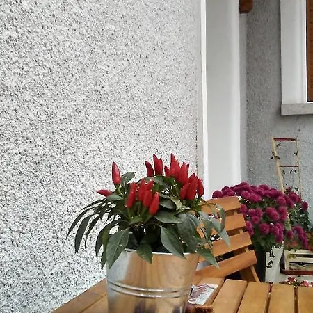 B - Bike 蒂米什瓦拉