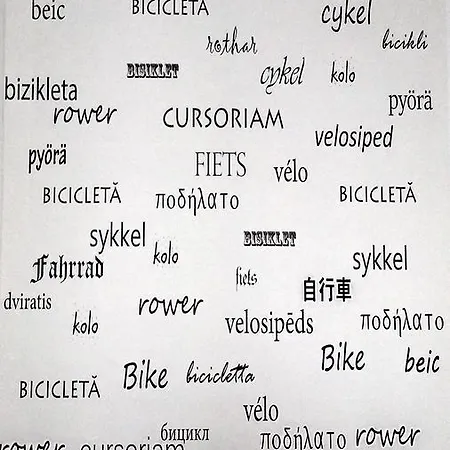 B - Bike Daire Temeşvar