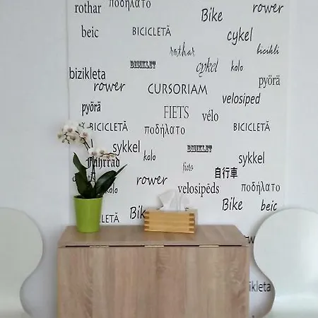 Daire B - Bike Temeşvar